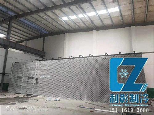 湖南佩達生物科技冷凍庫1